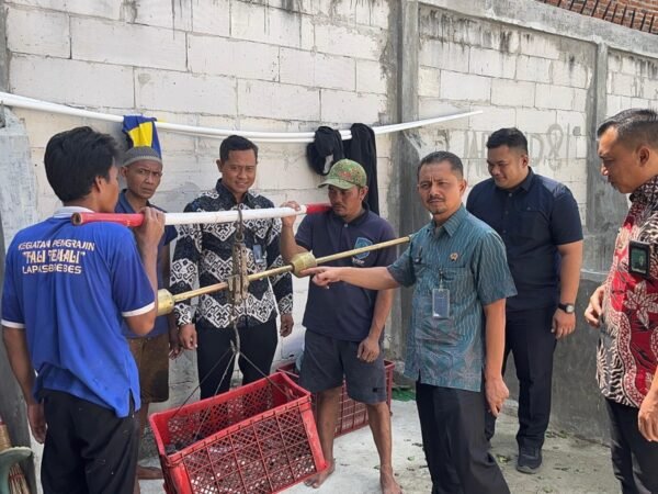 Lapas Brebes Panen 71 Kilogram Lele, Hasil Budidaya Warga Binaan 